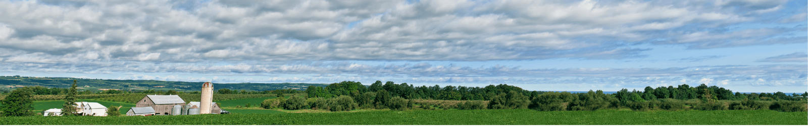 Glover Family Fund - Social Services Grant Guidelines