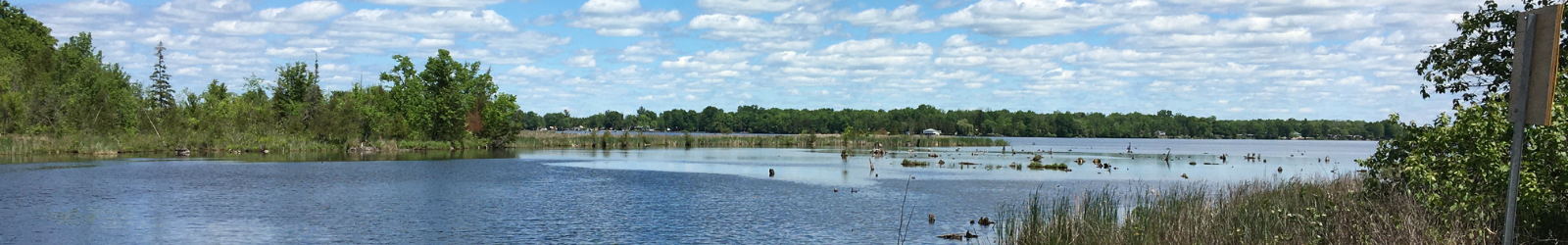 Nappan Island - Trent River